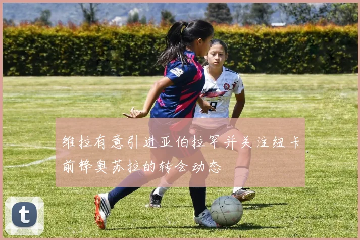 维拉有意引进亚伯拉罕并关注纽卡前锋奥苏拉的转会动态